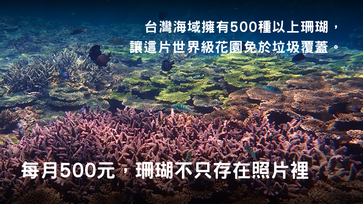 守住珊瑚色彩